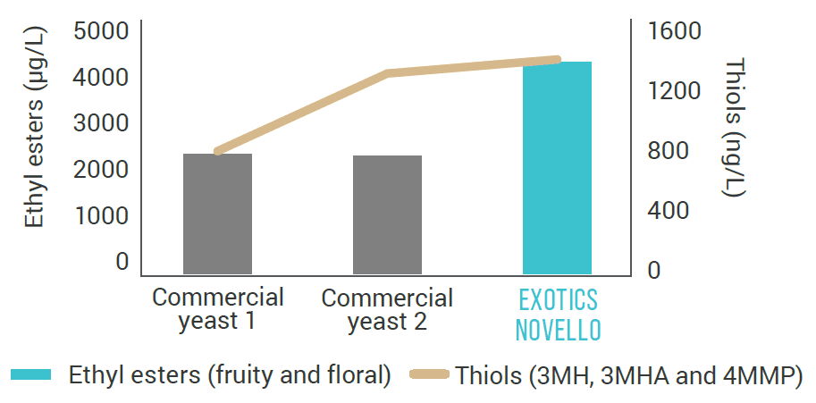 Product Anchor exotics novello image-1