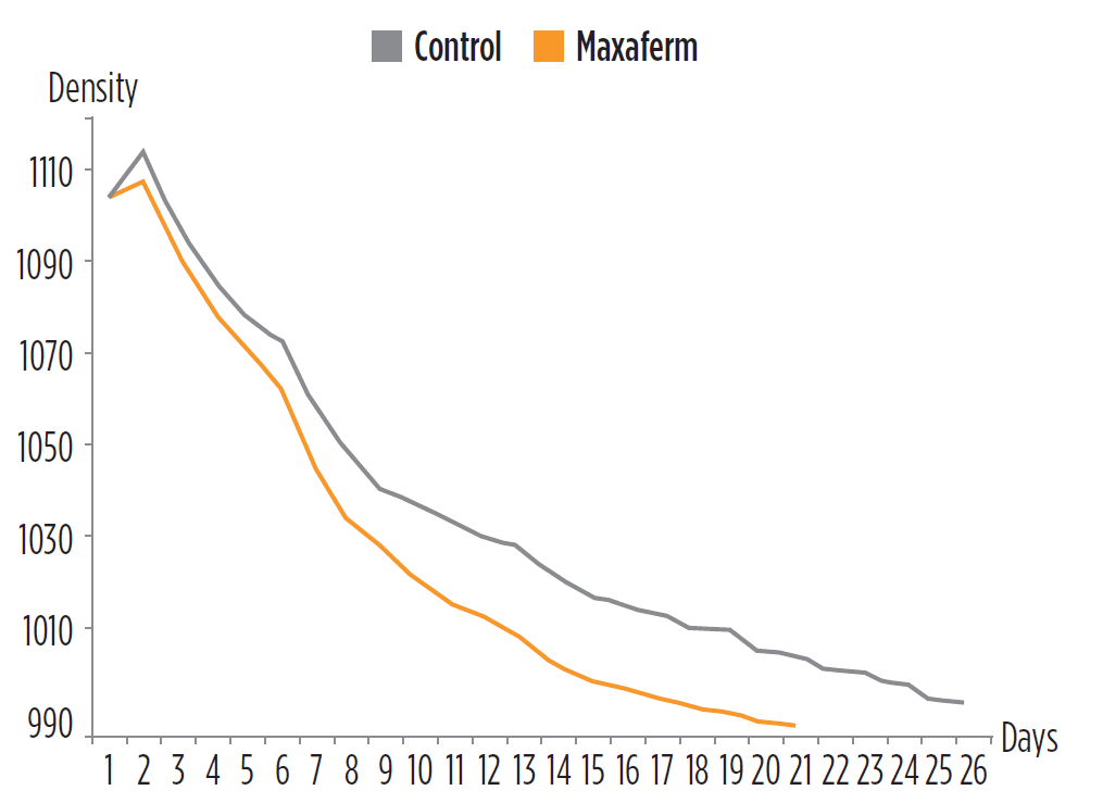 Product Yeast derivate Maxaferm