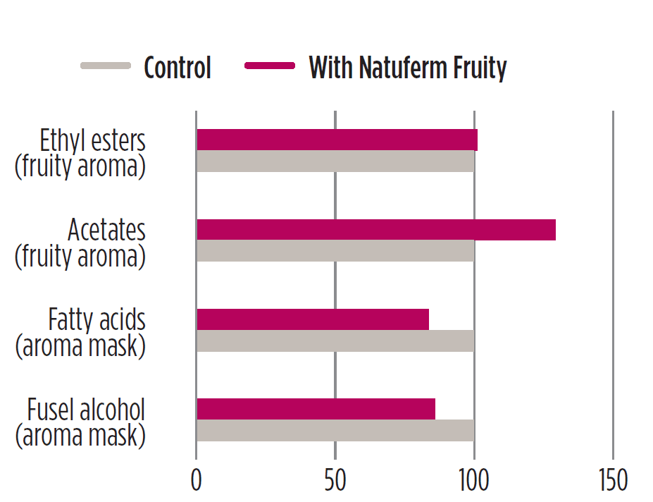 Product-Yeast-derivate-Natuferm-Fruity-image