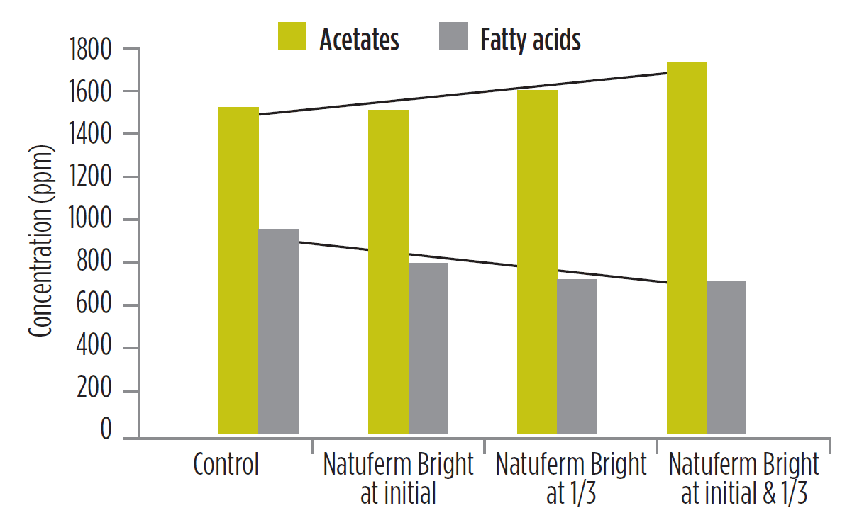 Yeast-derivate-Natuferm-bright-