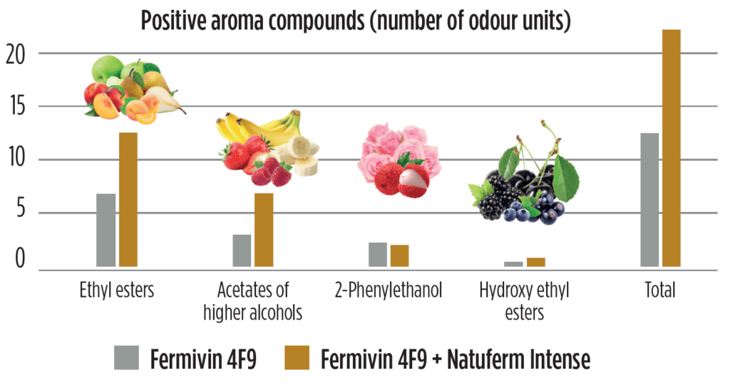 Product Yeast derivate Natuferm intense image