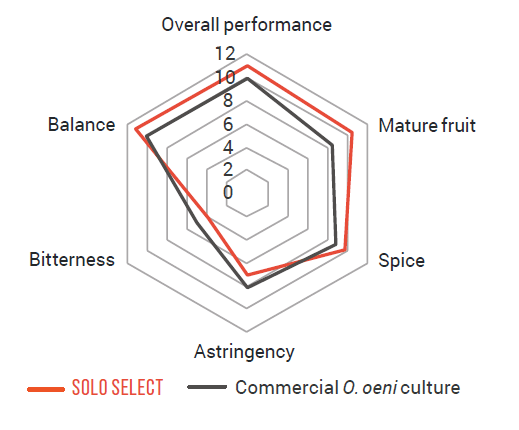 Product bacteria Anchor SOLO SELECT image-2