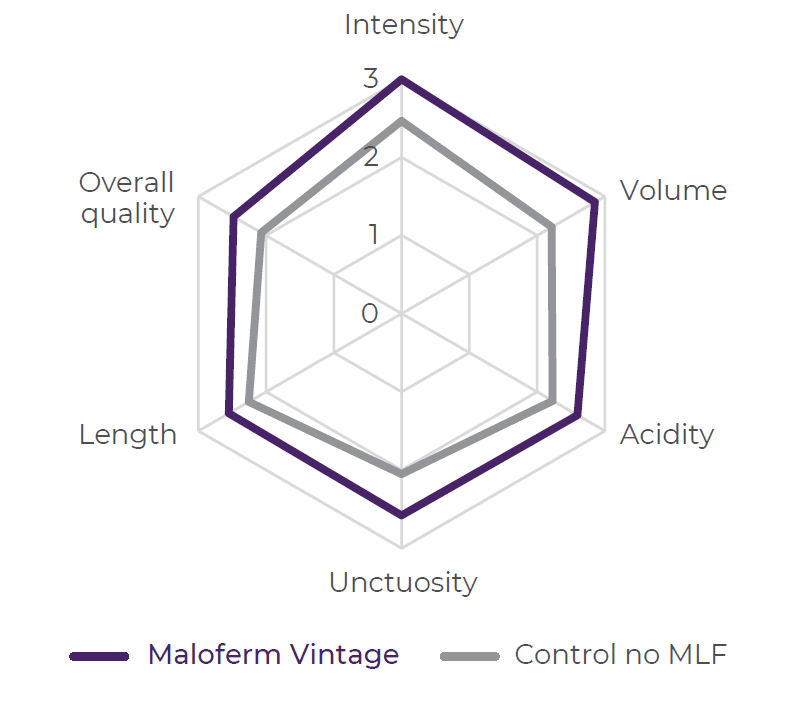 Product bacteria Maloferm Vintage