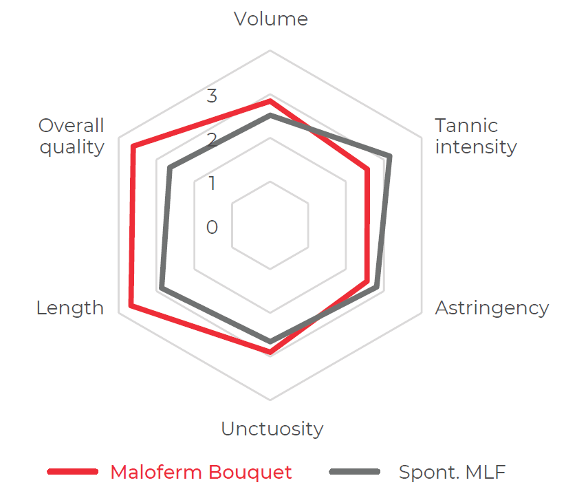 Product bacteria Maloferm bouquet