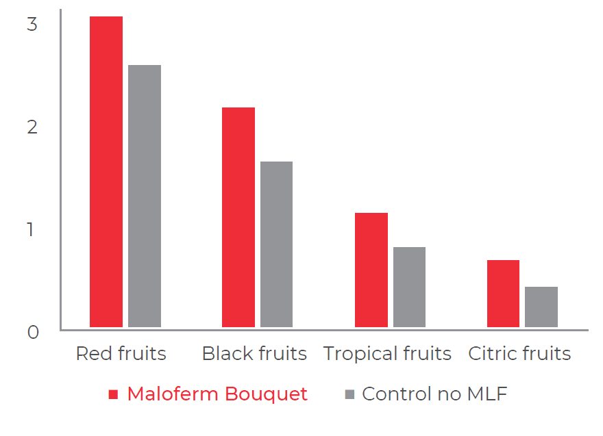 Product bacteria Maloferm bouquet