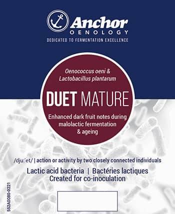 Anchor Bacteria Duet Mature