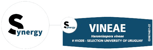 FERMIVIN-sinergy-vineae