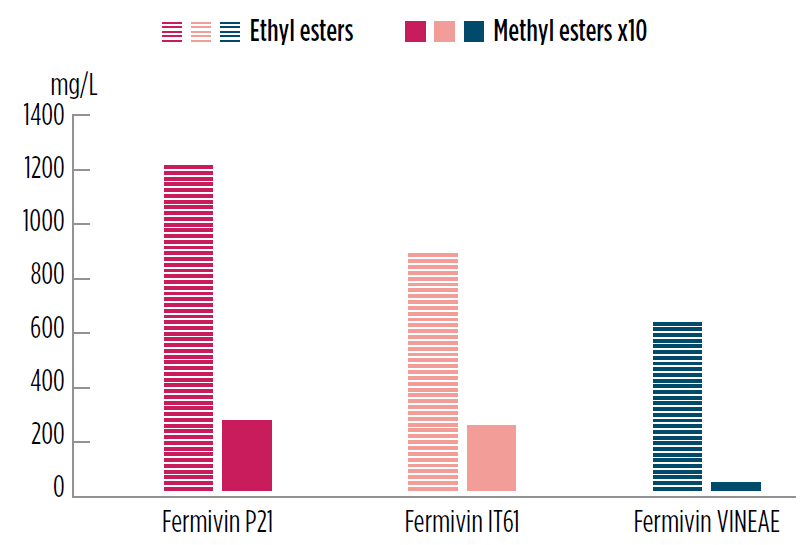 Solution-cider-fermivin-figure 2