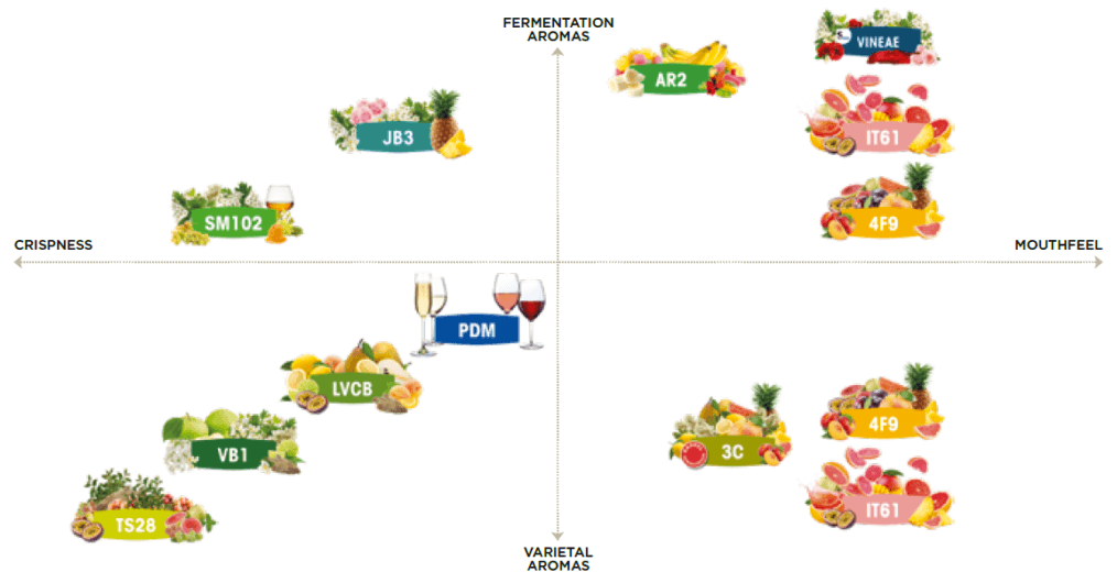 Solution-Alcoholic-fermentation-yeast-choice-fermivin-positioning-for-white-wines