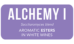 ANCHOR-yeast-alchemy-1-white-wine