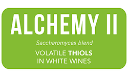 ANCHOR-yeast-alchemy-2-white-wine