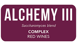 ANCHOR-yeast-alchemy-3-red-wine