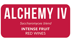 ANCHOR-yeast-alchemy-4-red-wine
