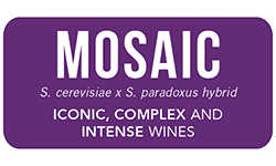 ANCHOR-yeast-exotics-mosaic-red-white-wine
