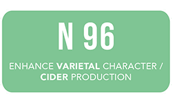 ANCHOR-yeast-legacy-N96-white-wine