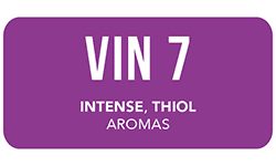 ANCHOR-yeast-legacy-VIN7-white-wine