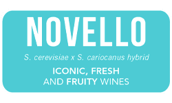 ANCHOR-yeast-novello-white-red-wine