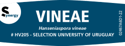 Product_Fermivin-VINEAE-hansenisapora-wine