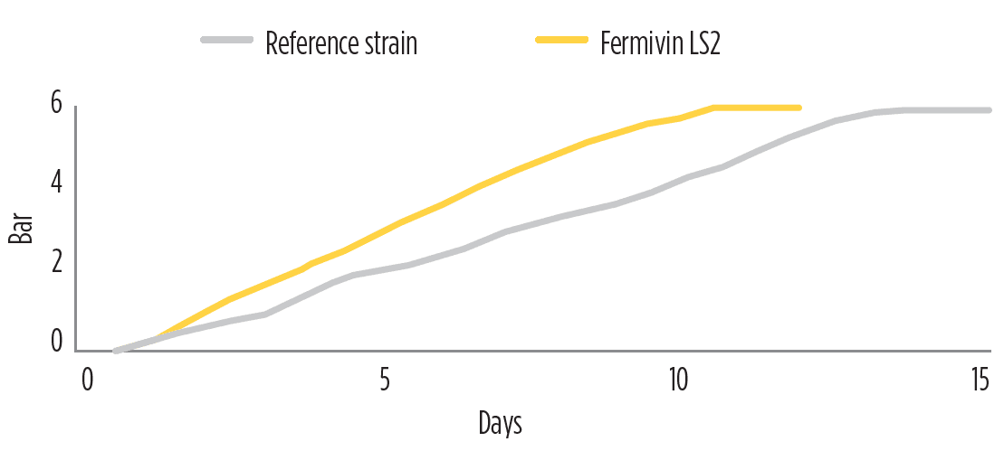 Fermivin-LS2_data_vin-wine-yeast