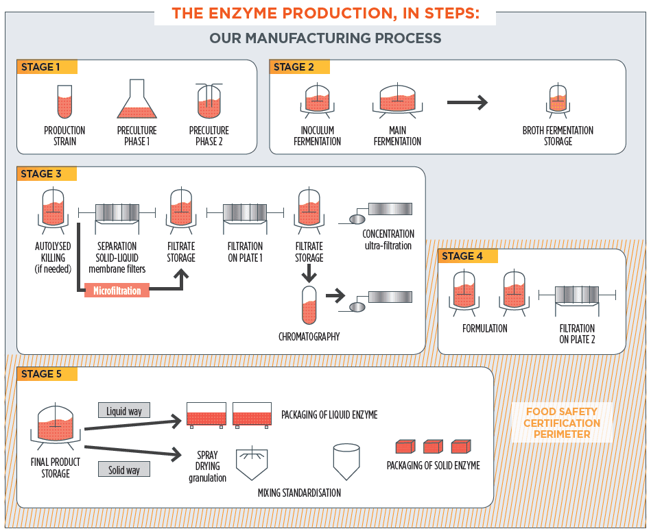 Rapidase_enzyme_production oenobrands_wine