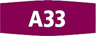 Fermivin-A33-wine-yeast