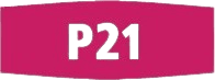 Fermivin-P21-wine-yeast