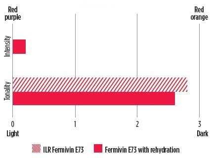 Solution-colour-e73-direct-inoculation-in-line-ready-fermivin-yeast