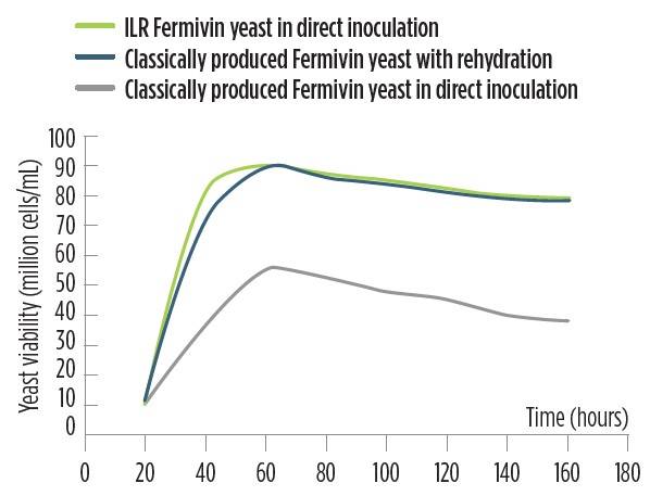 direct-inoculation-in-line-ready-fermivin-yeast