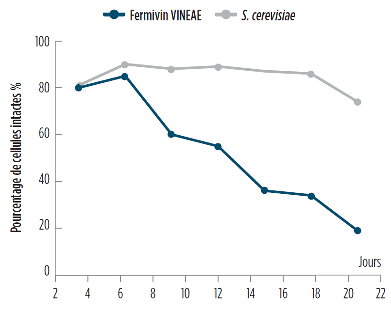 solution-sensation-organoleptique-texture-volume-fermivin-vineae-fr