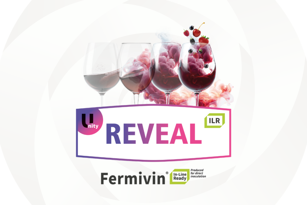 fermivin reveal visual news