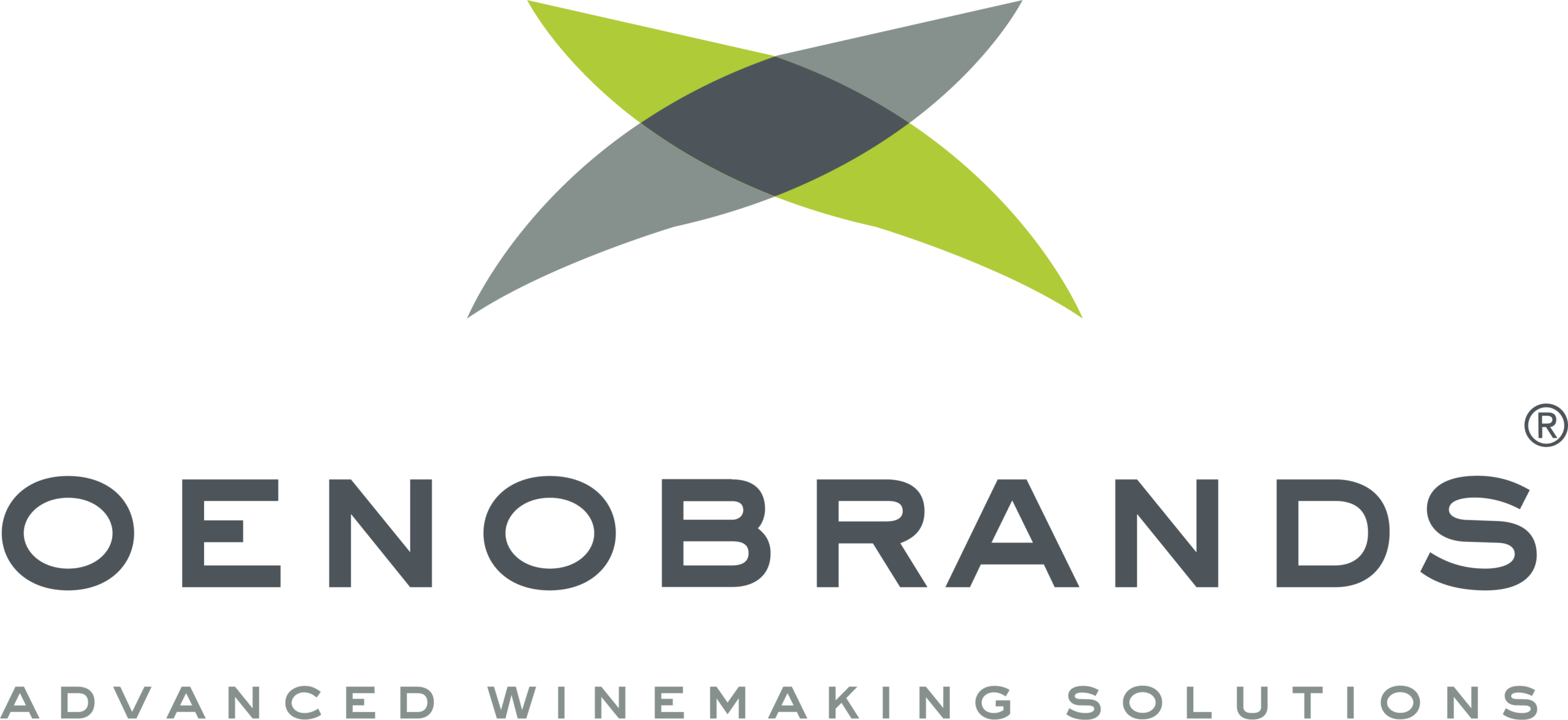 logo oenobrands dark