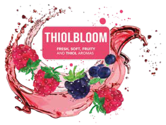 anhor legacy thiolbloom visual 2 for news