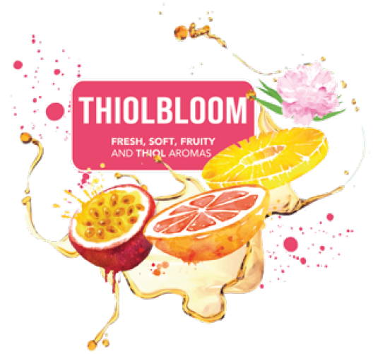 anhor legacy thiolbloom visual for news